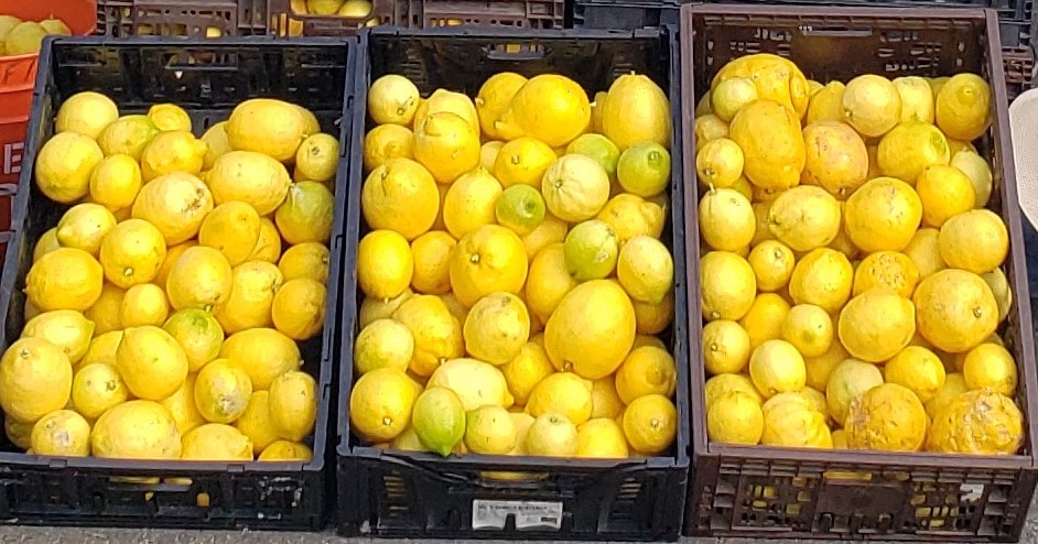 Lemons crates