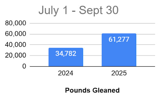 Chart of Pounds Gleaned between 7-1-25 and 9-30-25